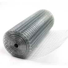 China Supplier Manufacturer of Galvanized Welded Wire Cloth (WWC)